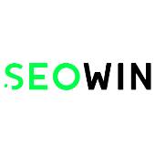 SEOWIN SEO Company in Chandigarh